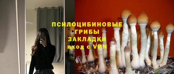 mdpv Балахна