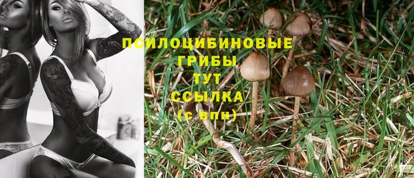 mdpv Балахна